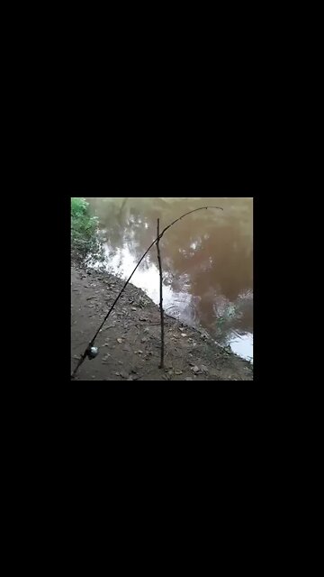 True definition of a rod getting bent!