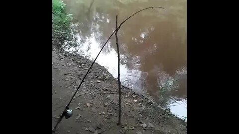 True definition of a rod getting bent!