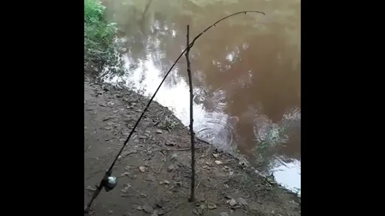 True definition of a rod getting bent!