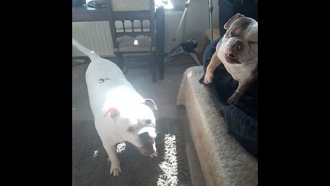 binnen effe gek doen