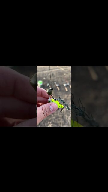 Snagged over 20$ in Lures