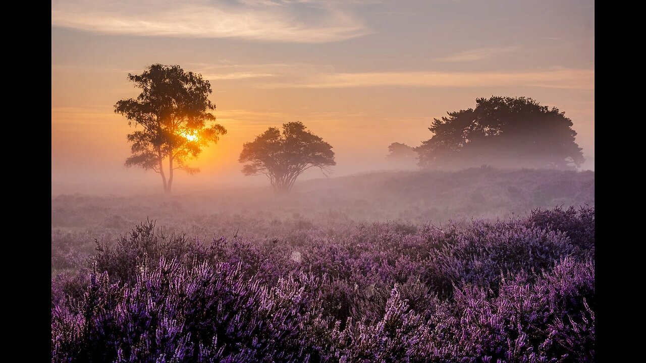 "The City on Mallington Moor" by Lord Dunsany