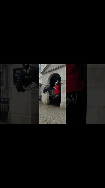 He got told off changed the reins #horseguardsparade