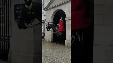 He got told off changed the reins #horseguardsparade