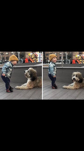 Toddler Meets a Puppy for First Time Due to Pandemic