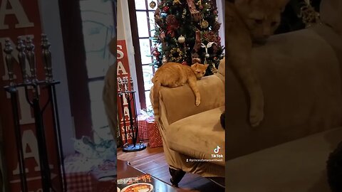 Can I Help You?