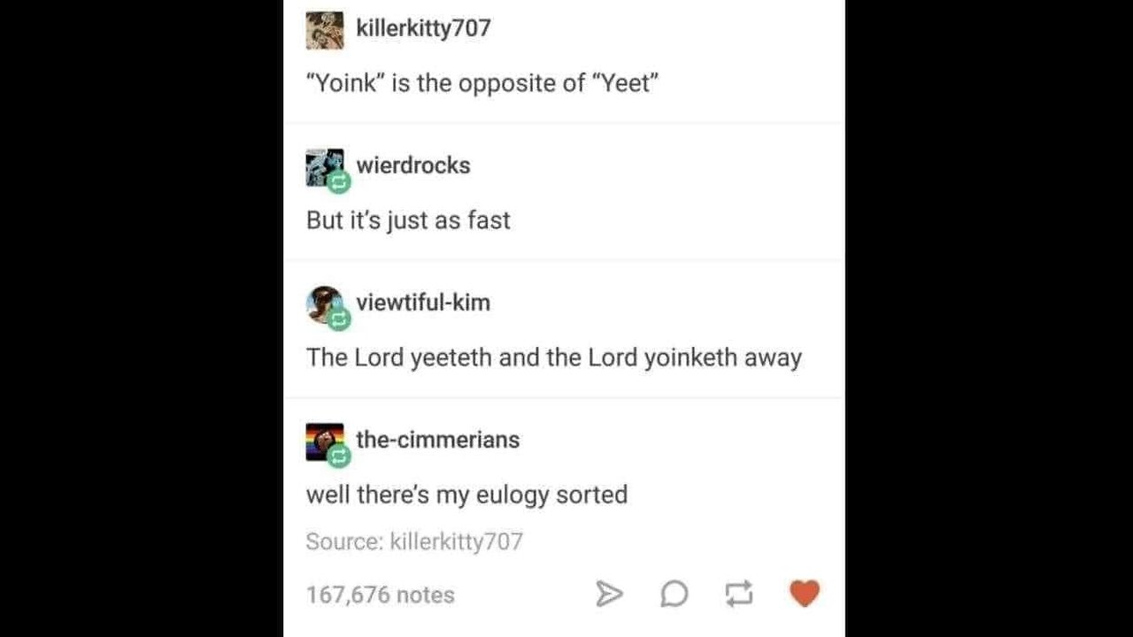 Yeet and Yoink! #memes #silly #funny #newwords #newwordmeaning #genz