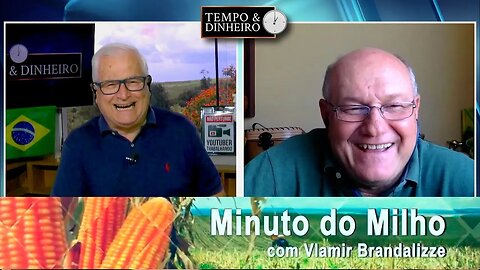 Colheita do Milho avança e cotações esfriam.