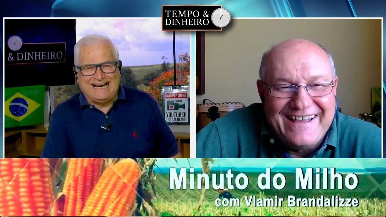 Colheita do Milho avança e cotações esfriam.