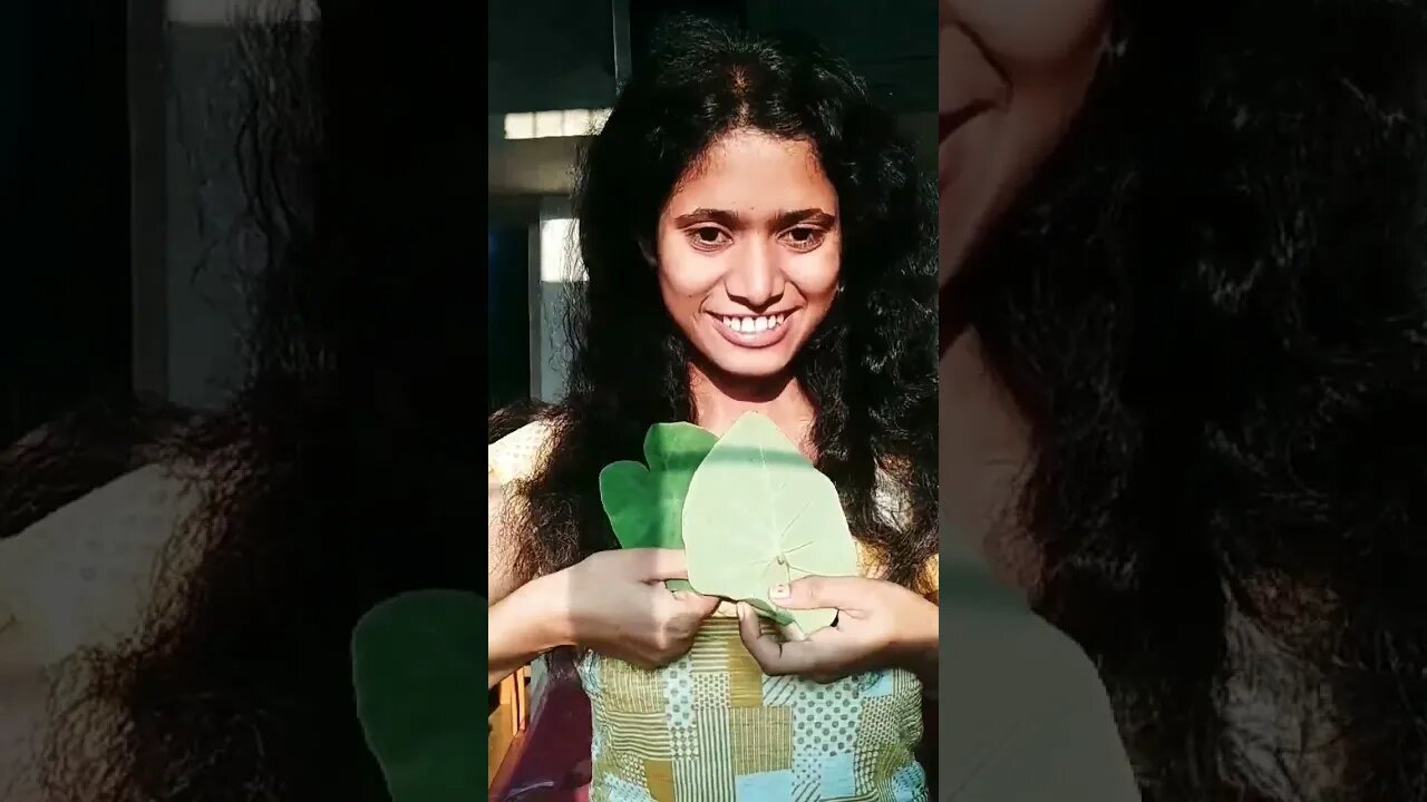 aarue ka patta ka chakka (Pachka)😊😊😊😊😊✨✨✨✨