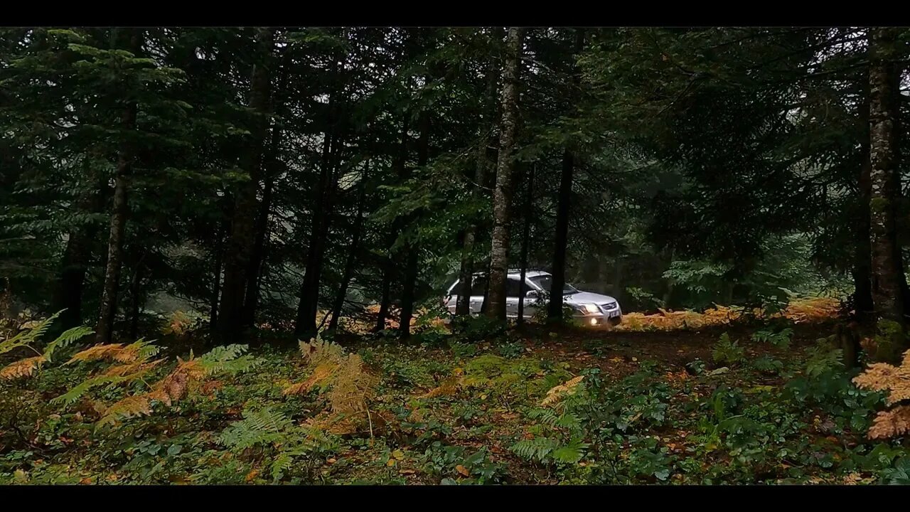 Camping alone in heavy rain and thunder -2