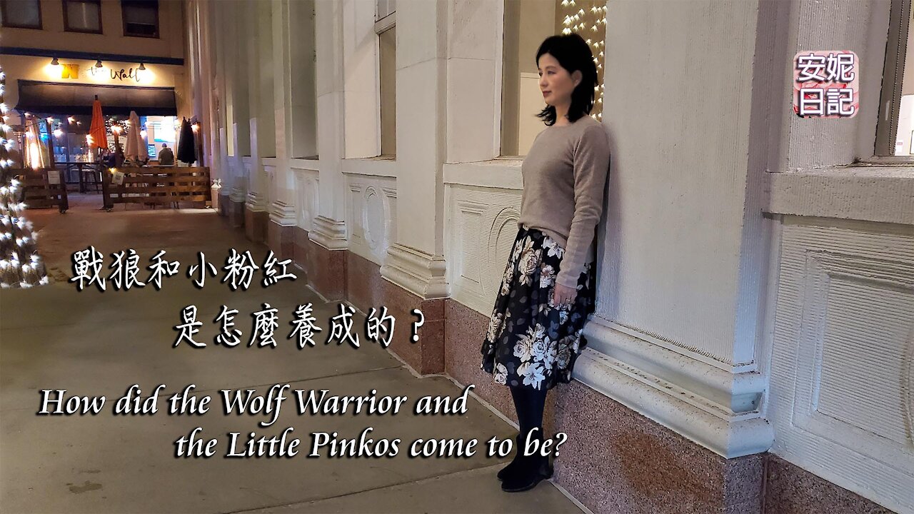 【安妮日記】戰狼和小粉紅是怎麼養成的？How did the Wolf Warrior and the Little Pinkos come to be?