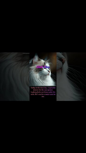 Two Ludwigs for the Price of One / Glitch Bites