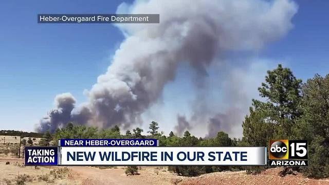 Top stories: Murder spree suspect found dead; Wildfire near Heber causing evacuations; AZ State Fair lineup