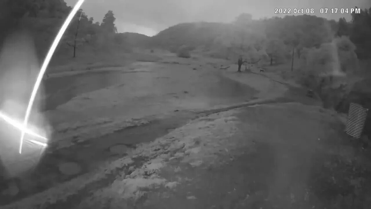 Flash flood at night