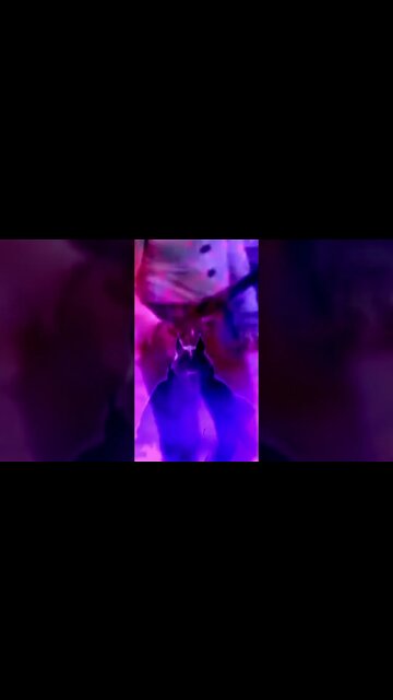 Death Whistles The Theme From The Rifleman #shorts