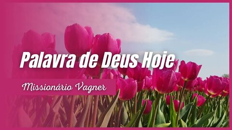 A MANIFESTAÇÃO DA GLÓRIA DE DEUS - PALAVRA DE DEUS HOJE