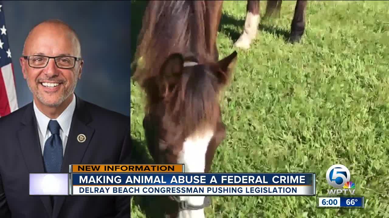 U.S. Rep. Ted Deutch to hold news conference on animal cruelty legislation