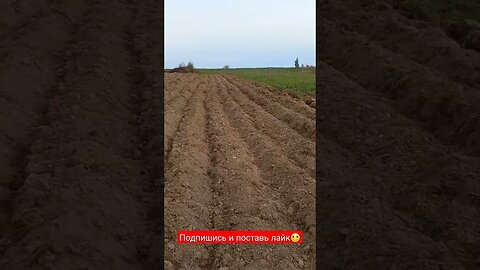 Фермерство для новичков | Хобби | #short #shorts #shortsvideo #shortvideo #farming #shortsfeed