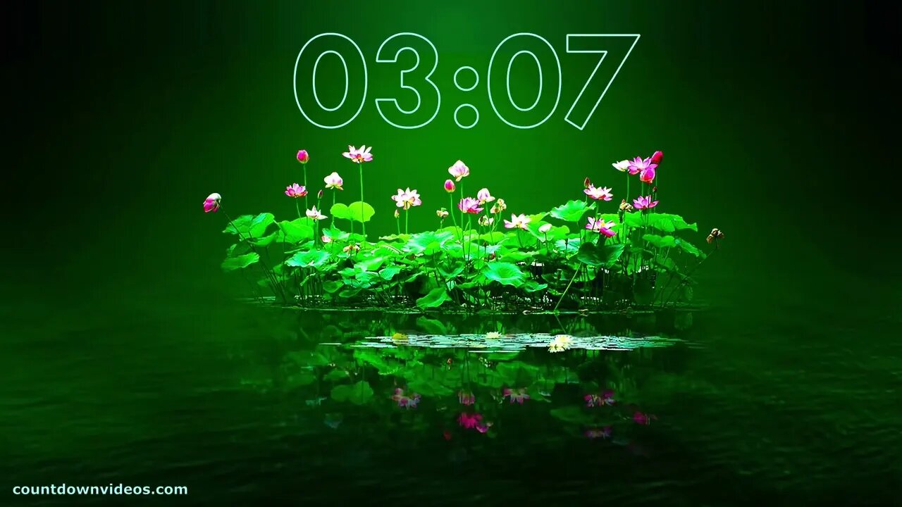 Relaxing Music پرسکون اور آرام دہ موسیقی Calm and Relaxing Music#RelaxationSoothingS