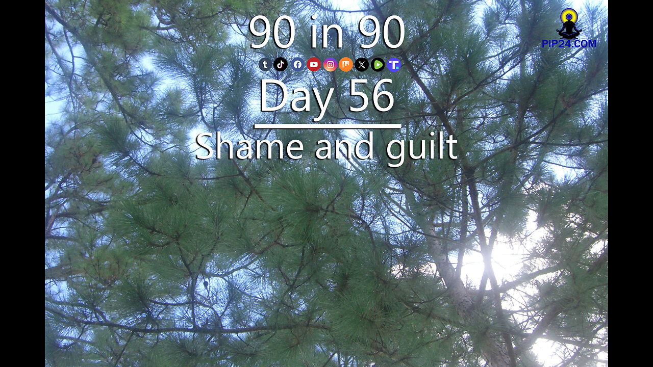 90 in 90 - Day 56: Shame and Guilt