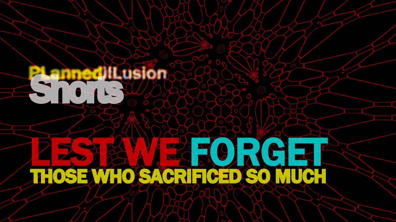 PLANNEDILLUSION SHORTS - LEST WE FORGET