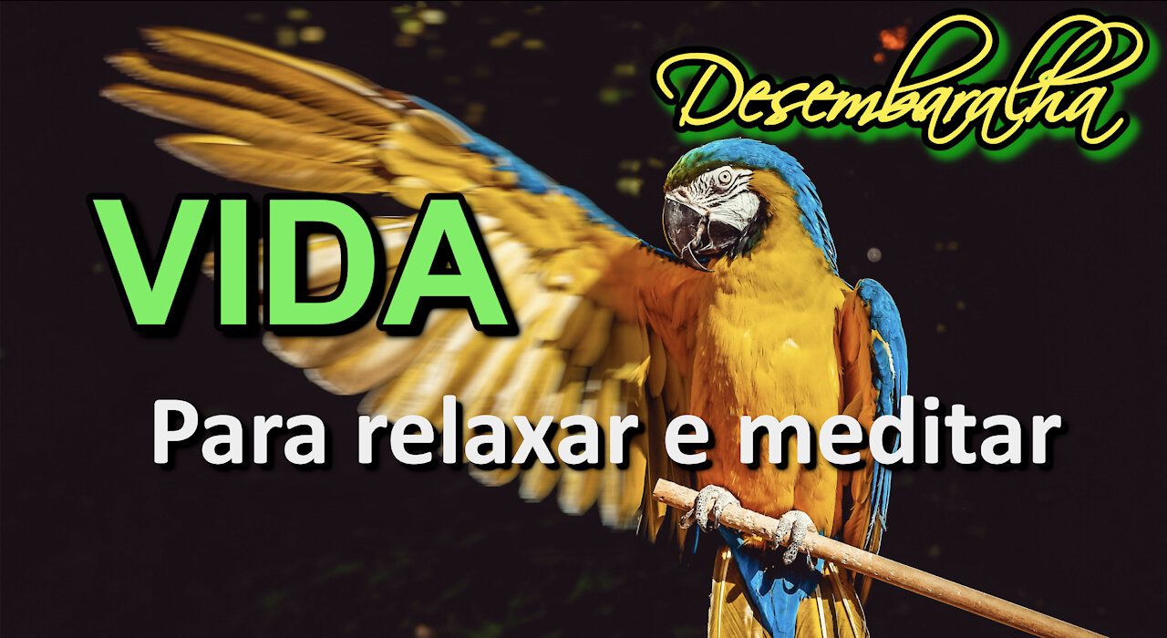 Música meditação express - cura, ansiedade, stress, dormir melhor, EMDR bilateral music