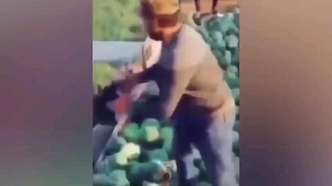 Funny ____hilarious people_s_ Life_🤣😂