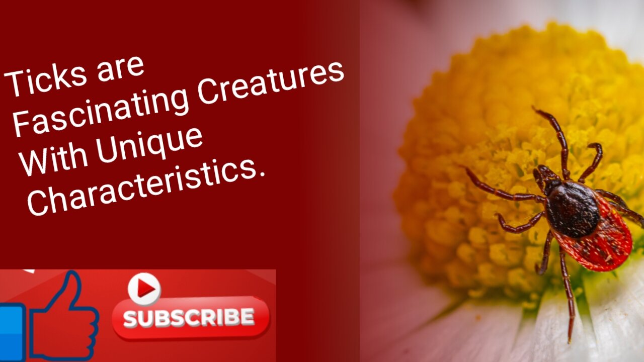 Ticks are fascinating creatures with unique characteristics.