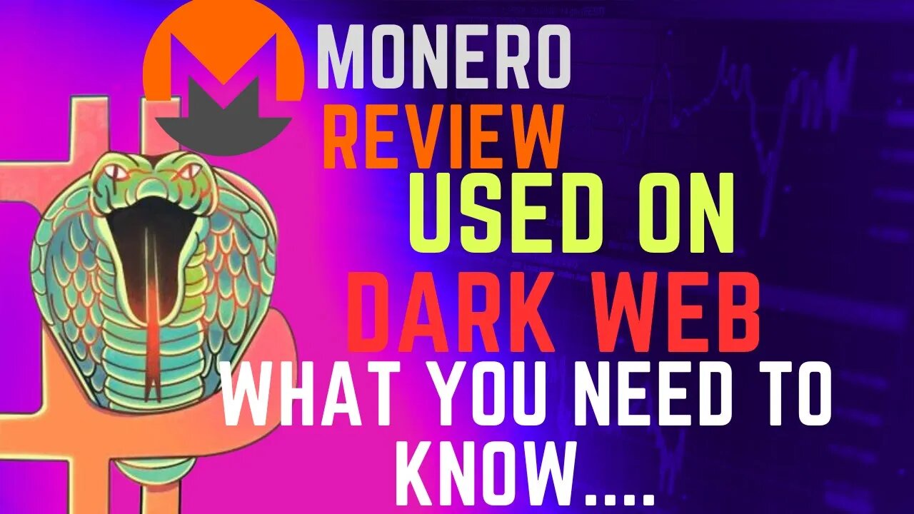 The Dark Side of Monero (XMR): Is This Anonymous Digital Currency Safe?