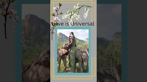Love is Universal @ @everyone #everyone