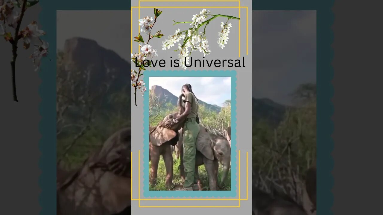 Love is Universal @ @everyone #everyone