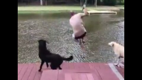 Dogs are amazing relationship with Owner.