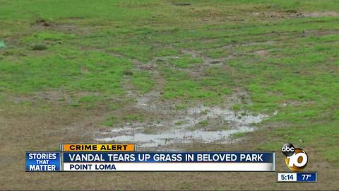 Vandal does donuts, carves up beloved park