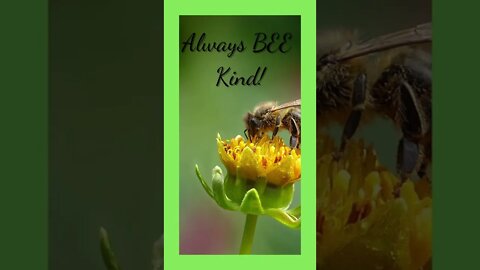 Always BEE Kind!