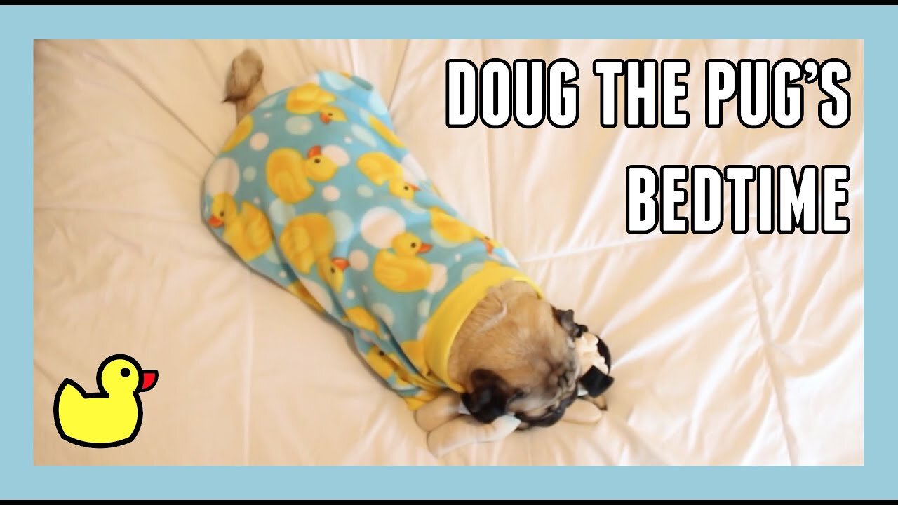 Doug the Pug's Bedtime