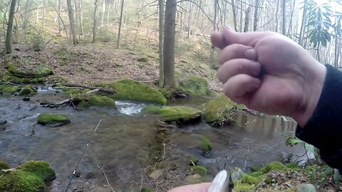 Trout Fishing