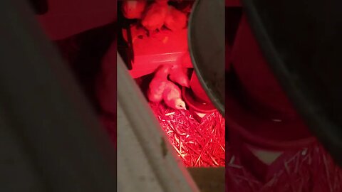 You may need to start doing this.