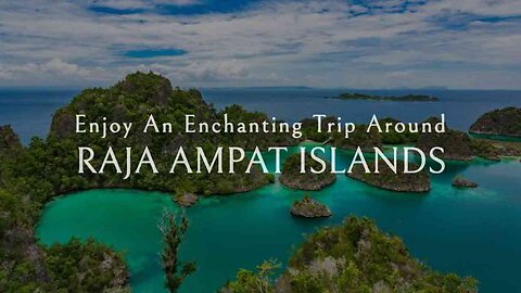 Hear and See the Paradise: Trip to Raja Ampat Islands in Indonesia | Splendid Nature | lush greenery