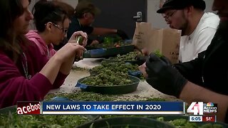 New year means new laws on the books