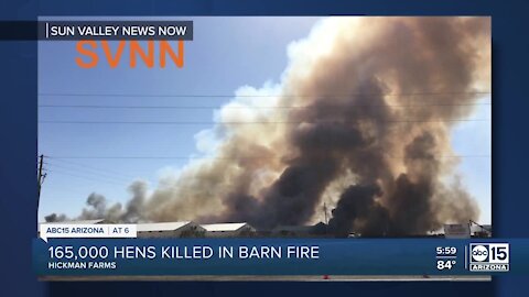 165,000 laying hens die in massive fire at Hickman's Egg Farm in Tonopah