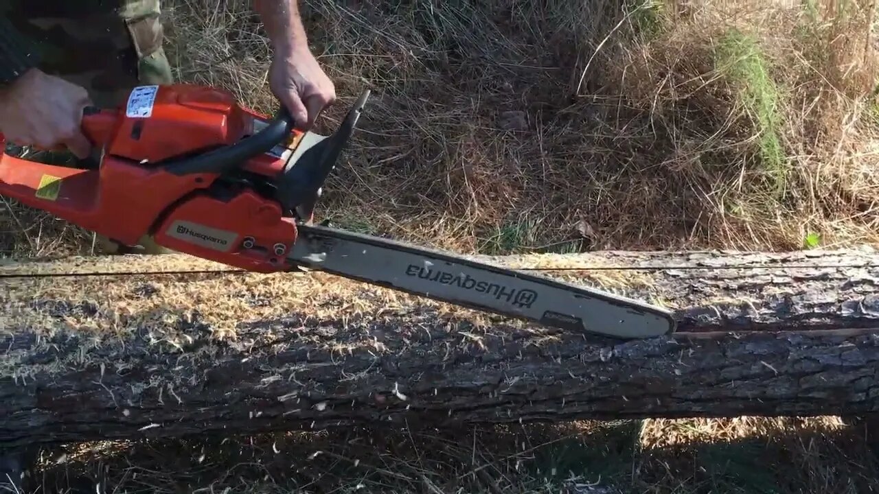 New Adventure - Camping, Survival, Tree Cutting, & More