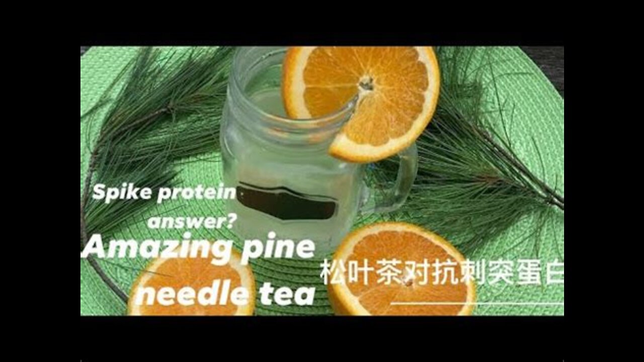 detox Extract shikimic acid from pine needle detox tea