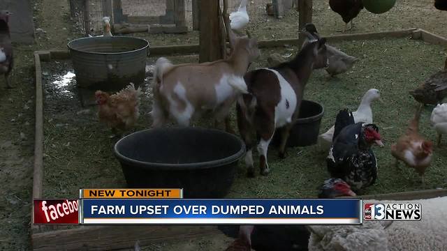 Six animals dumped at Barn Buddies Rescue causes concern