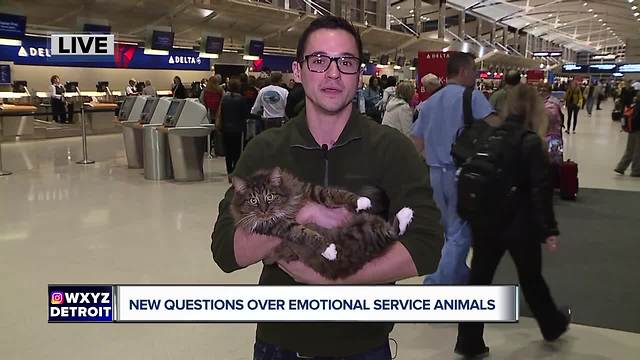 New questions over growing trend of emotional service animals