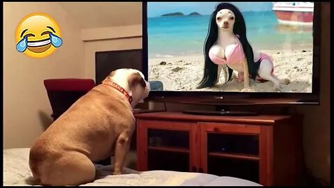 Funny video funny memes funny fails best funny video 2024