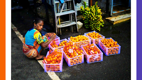 WEF Caused Food Shortage In Sri Lanka 3 Years Ago