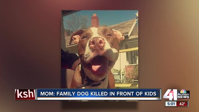 Mom: family member stabbed dog to death in front of kids