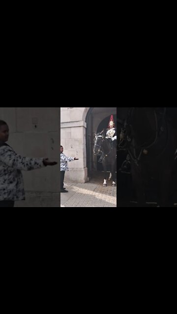 Scared of the Horse #horseguardsparade