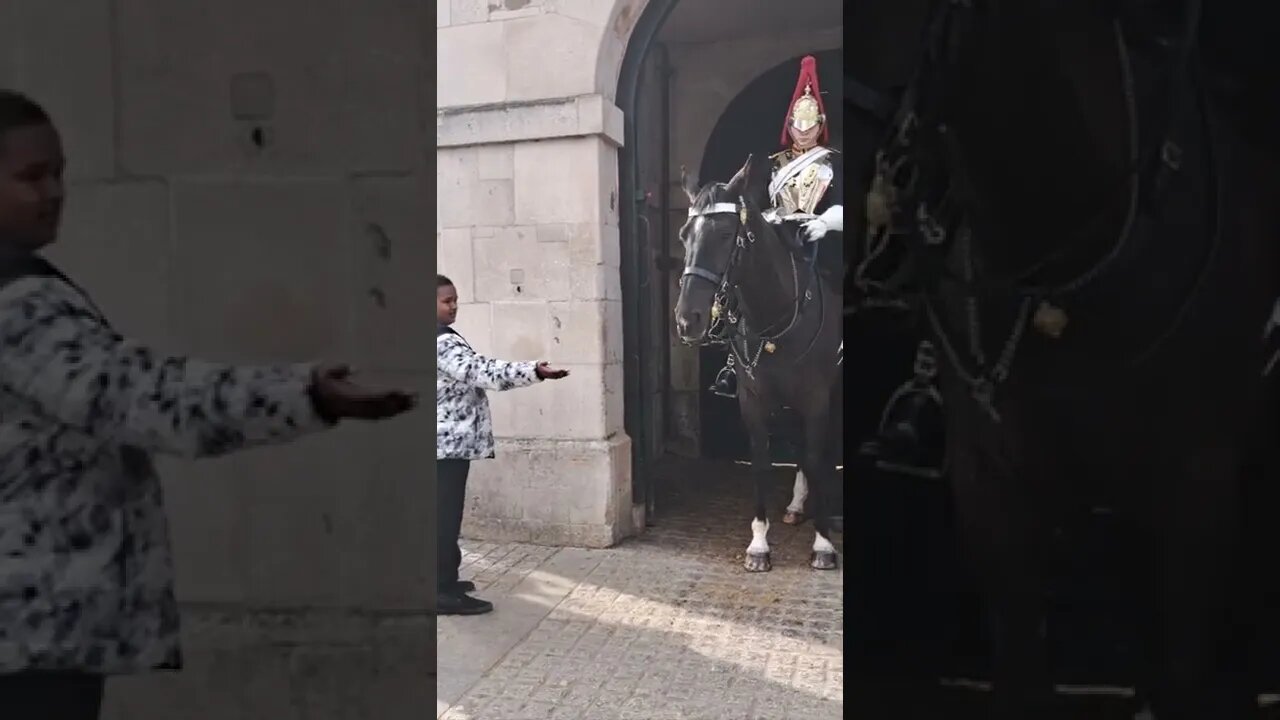 Scared of the Horse #horseguardsparade